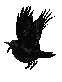 Flapping Salad Fingers Sticker by David Firth