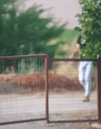Im Back GIF