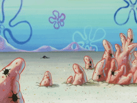 season 4 GIF by SpongeBob SquarePants