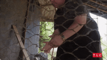 90 Day Fiance David GIF by TLC