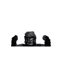 Monkey Gorilla Sticker by Yle Galaxi