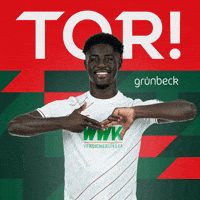 Celebration Goal GIF by FC Augsburg 1907