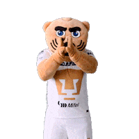 Sport Soccer Sticker by Pumas MX