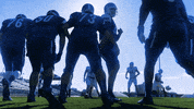 GIF by UWF