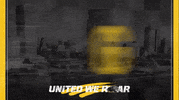 GIF by Milwaukee Panthers