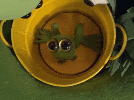 Frog in bucket