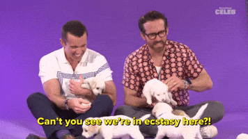 Can't You See We're in Ecstasy Here?!