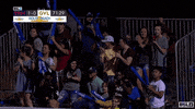 usl soccer celebrate goal fans GIF