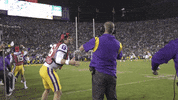 College Football GIF by LSU Tigers