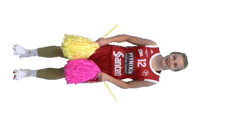 Basket_fi giphyupload sport basketball koripallo Sticker