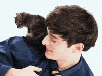 Napkimi noah schnapp foah noah schnapp cute stranger things kitten interview GIF