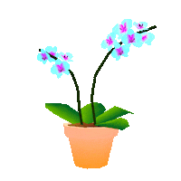 3D Flower Sticker by jjjjjohn