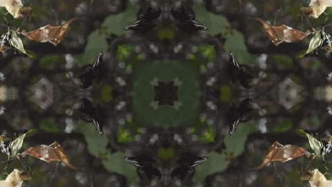 Art Love GIF by jorgemariozuleta