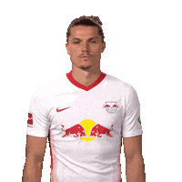 Red Bulls Football Sticker by Bundesliga