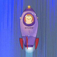 To The Moon Penguin GIF by Pudgy Penguins