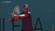 sport perfection GIF by Tennis TV