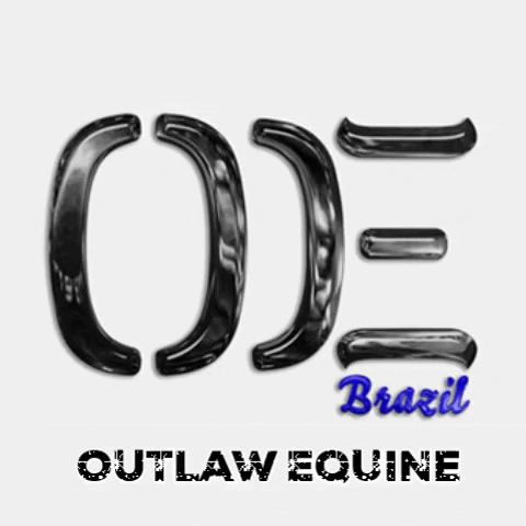 OUTLAWEQUINEVET oe abqm outlaw equine GIF