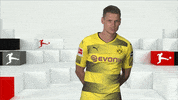 searching borussia dortmund GIF by Bundesliga