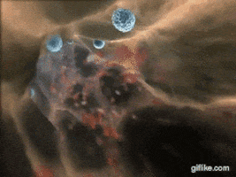 asyaakdogan giphyupload GIF