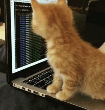 Gif of a cat sitting on a keyboard with code on the screen