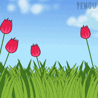 Happy Cherry Blossom GIF by Pudgy Penguins