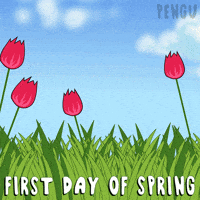 Happy Cherry Blossom GIF by Pudgy Penguins