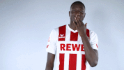 fc cologne GIF by 1. FC Köln