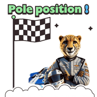 Racing Driver Sticker by solydari