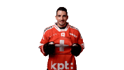 Celebrate National Team Sticker by Swiss Ice Hockey