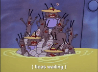 nicksplat GIF