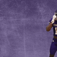Football Wesleyan GIF by KWC Panthers