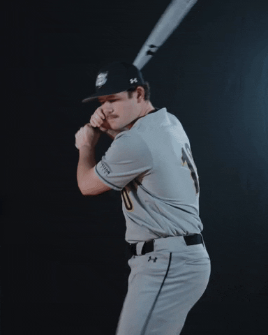 Baseball Swing GIF by Purdue Fort Wayne Athletics