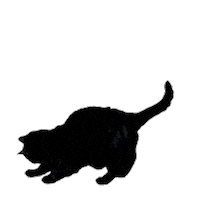 Jouer Black Cat Sticker