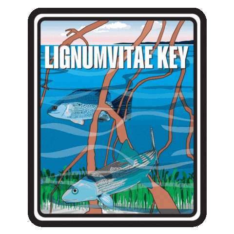 Aquatic Preserve Sticker by FLDEP