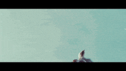 game of thrones horse GIF by 4AD