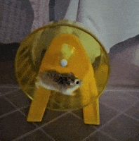 Hamster Wheel GIF