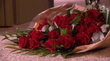 Flowers Love GIF by Hollyoaks