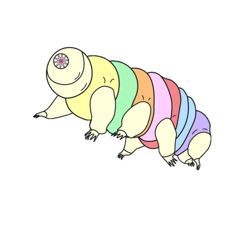 almaforrer giphyupload bear science colors Sticker