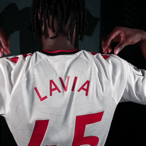 Premier League Football GIF by Southampton FC