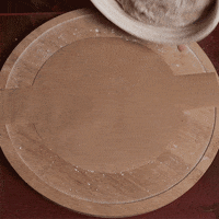 sourdoughdisco disco sourdough GIF