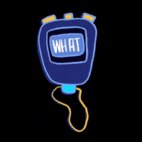 fayeandco roller derby nso stopwatch jam timer GIF