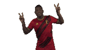 Red Devils Football Sticker by Royal Belgian FA
