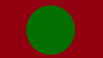 Ottoman Empire Flag GIF