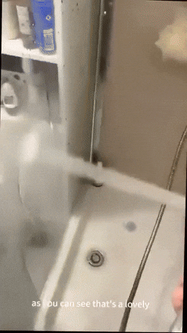 coralcarmelweizman giphyupload GIF