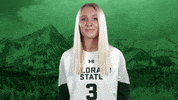 Volleyball GIF by Colorado State Rams