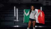 Georgia Tech Volleyball GIF by Georgia Tech Yellow Jackets