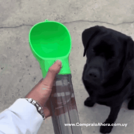 Botella Bebedero Comedero Pala Mascotas 5 En 1 Para Viajes – Compralo Ahora