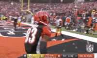 2018 Nfl Football GIF by NFL