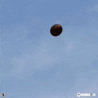 American Football GIF by EA SPORTS MADDEN NFL