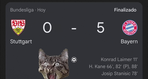 Bundesliga Bayern GIF